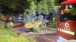 Neve nelle Marche , 140 interventi dei vigili del fuoco